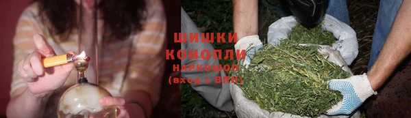 дживик Костерёво