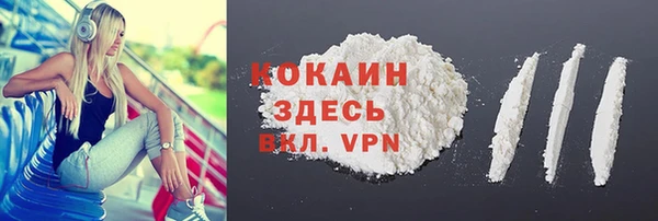 дживик Костерёво