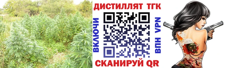 Купить  Ленинск  ТГК THC oil 